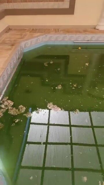 Piscina com água verde e sujeira boiando antes do tratamento